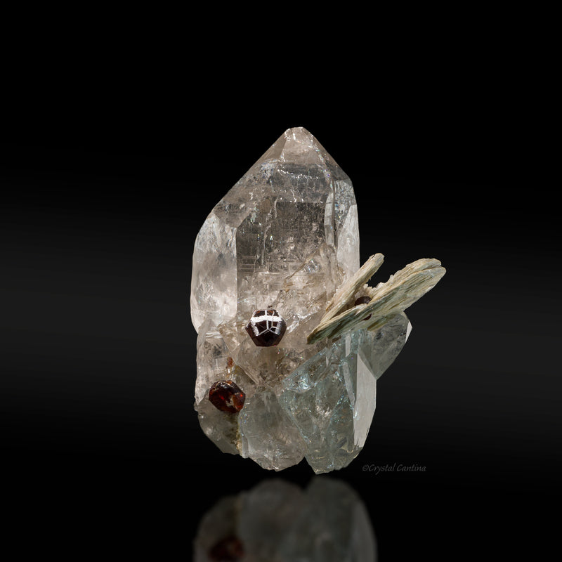 Garnets On and In Quartz with Muscovite