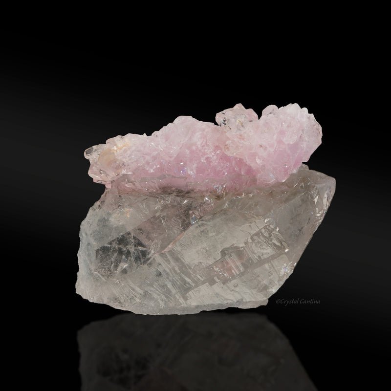 Rose Quartz on Quartz Crystal