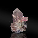 Tourmaline with Quartz and Lepidolite