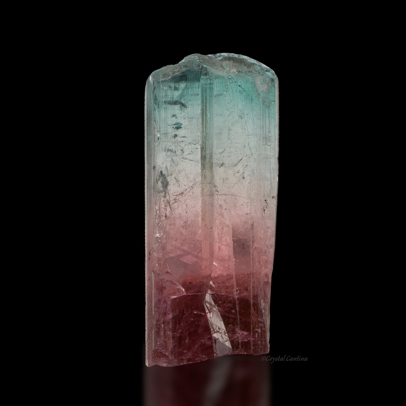 Red, White and Blue Tourmaline
