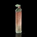 Etched Tourmaline "Tree"