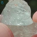 Fluorite Enhydro with Tourmaline