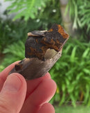 Siderite and Goethite on Smoky Quartz