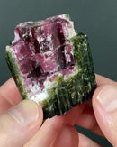 Watermelon Tourmaline
