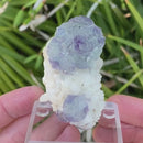 Fluorite on Dolomite with Quartz