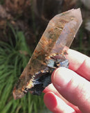 Rutilated DT Quartz with Hematite