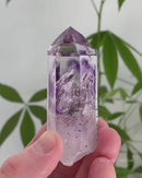 Amethyst Enhydro