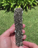 Muscovite Pseudomorph After Tourmaline