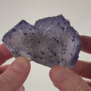 "Spotted" Fluorite with Sphalerite