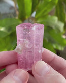 Bubble Gum Pink Tourmaline
