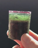 Watermelon "Rainbow" Tourmaline