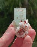 Aquamarine Enhydro with Garnets