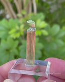 Etched Tourmaline "Tree"