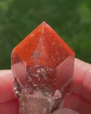 Orange River Phantom Scepter with Pyrite