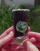 Fluorite on Black Tourmaline