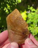 Rutilated Quartz
