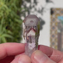 Amethyst Scepter Enhydro with Hematite