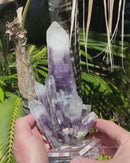 "White Tipped" Amethyst