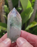 Smoky-Amethyst "Tabby" with Chlorite