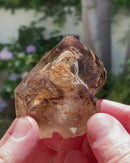Smoky Quartz Scepter with Enhydros
