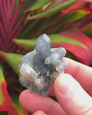 Blue Tourmalated Quartz Cluster